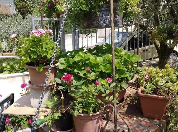 Bed & Breakfast Al Pozzo 3*